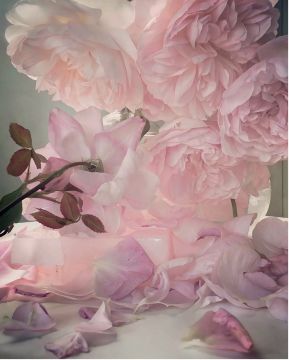 Nick KNIGHT (*1958, Great Britain): Saturday 1st June 2019 – Christophe Guye Galerie