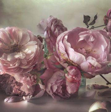 Nick KNIGHT (*1958, Great Britain): Sunday 11th October – Christophe Guye Galerie