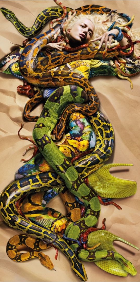 Nick KNIGHT (*1958, Great Britain): Snakes for Alexander McQueen – Christophe Guye Galerie