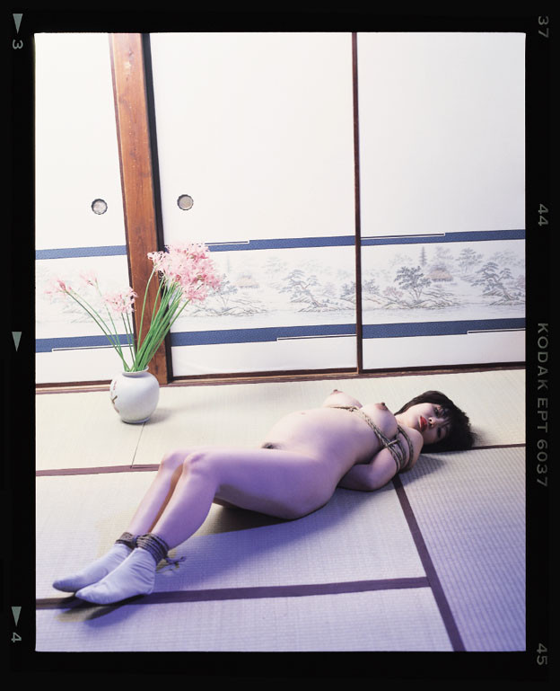 Nobuyoshi ARAKI (*1940, Japan): 67 Shooting Back #GDN171 – Christophe Guye Galerie
