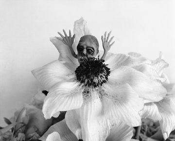 Nobuyoshi ARAKI (*1940, Japan): Love-Dream, Love-Nothing #010 – Christophe Guye Galerie