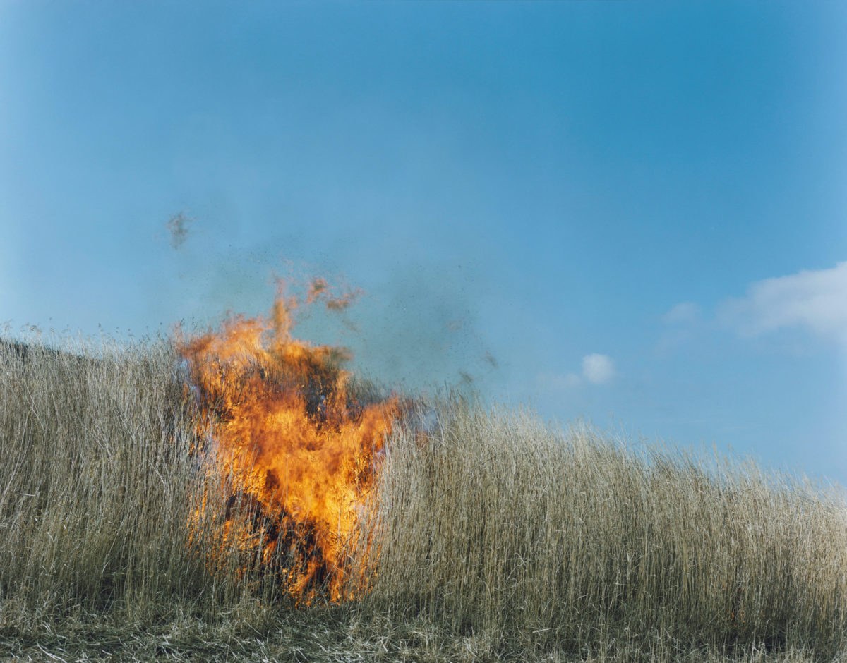 Rinko KAWAUCHI (*1972, Japan): Untitled, from the series 'Ametsuchi' – Christophe Guye Galerie
