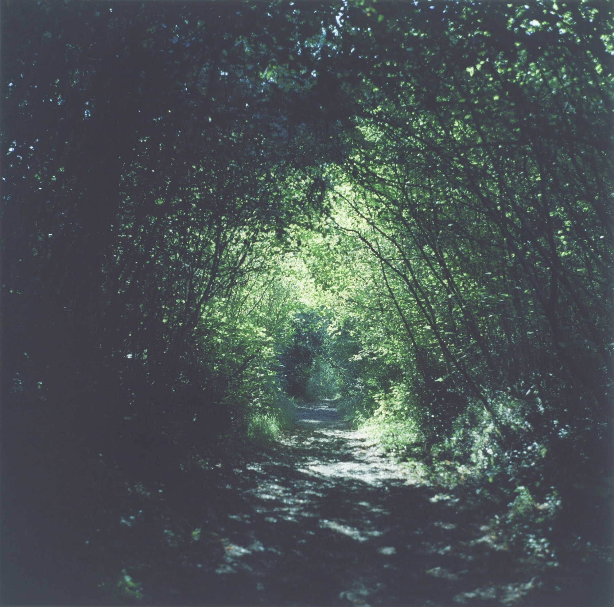 Christophe-Guye-Galerie-Rinko-