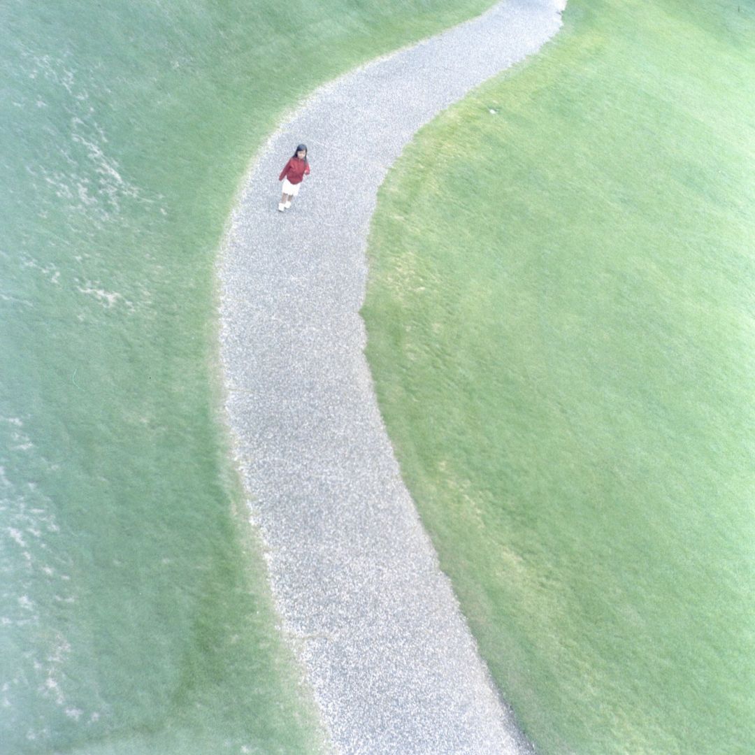 Rinko KAWAUCHI (*1972, Japan): Untitled, from the series 'An interlinking' – Christophe Guye Galerie