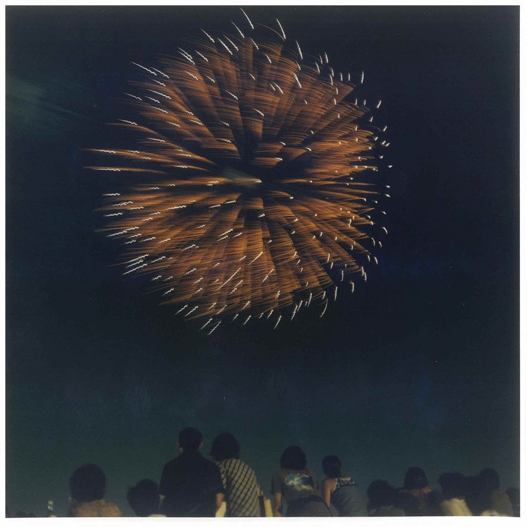 Rinko KAWAUCHI (*1972, Japan): Untitled, from the series 'HANABI' – Christophe Guye Galerie