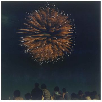 Rinko KAWAUCHI (*1972, Japan): Untitled, from the series 'HANABI' – Christophe Guye Galerie