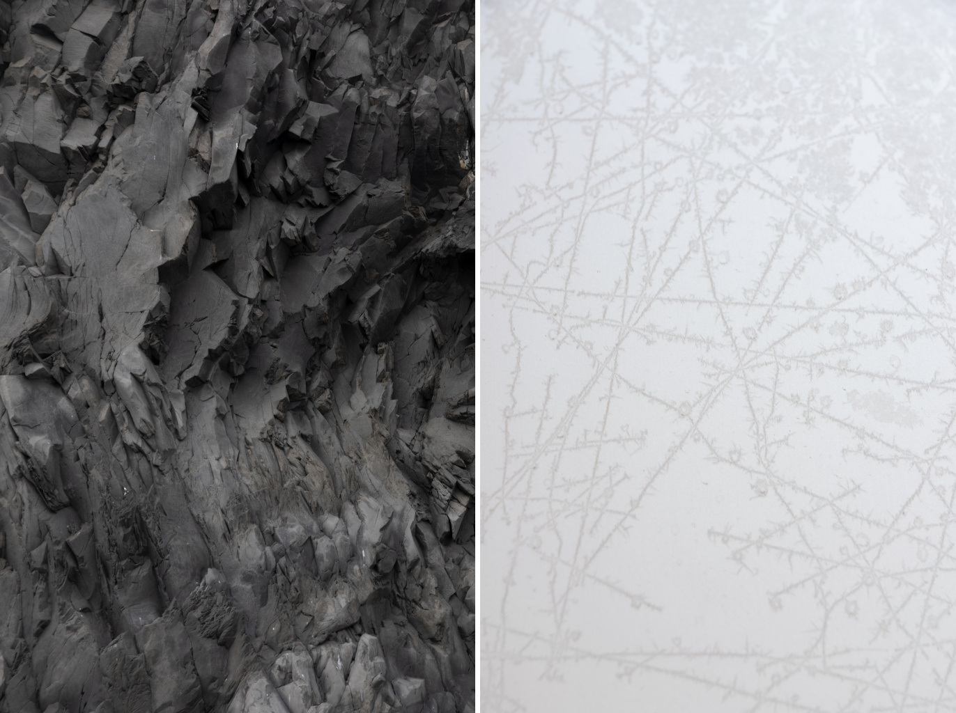 Rinko KAWAUCHI (*1972, Japan): Untitled, from the series 'M/E' (Diptych) – Christophe Guye Galerie