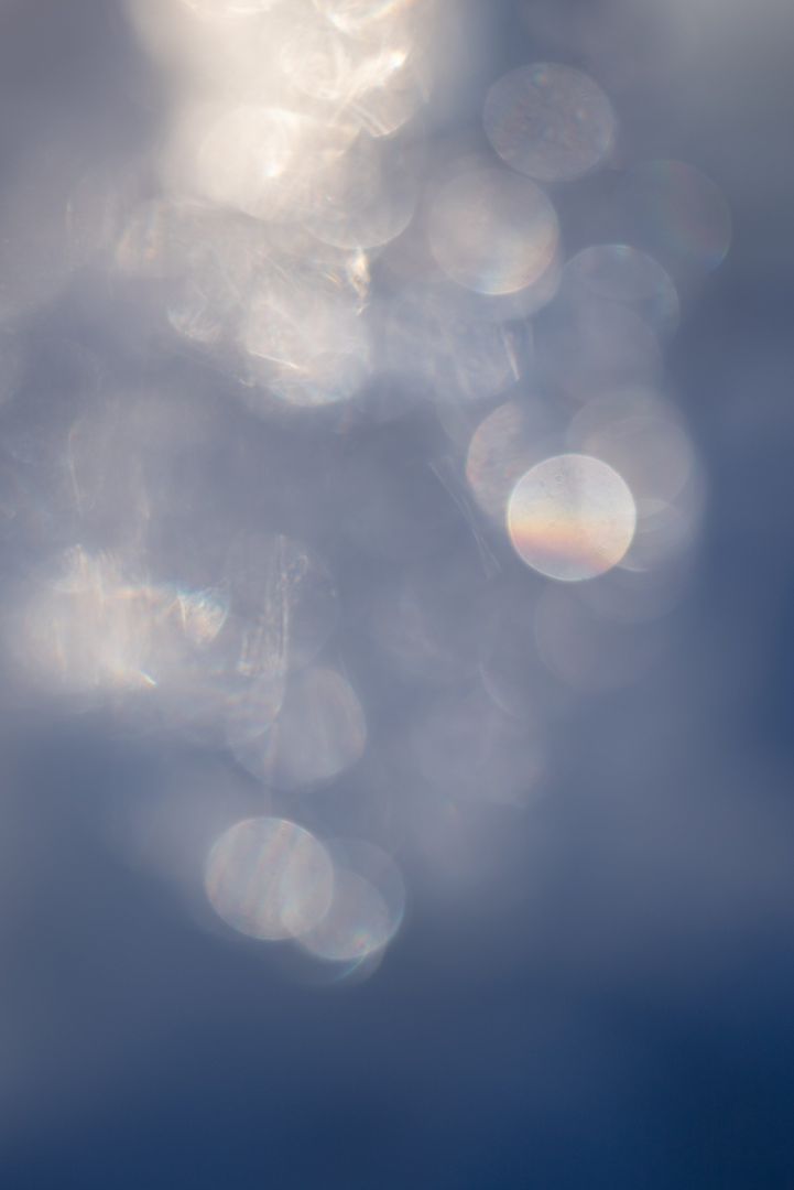 Rinko KAWAUCHI (*1972, Japan): Untitled, from the series 'M/E' – Christophe Guye Galerie