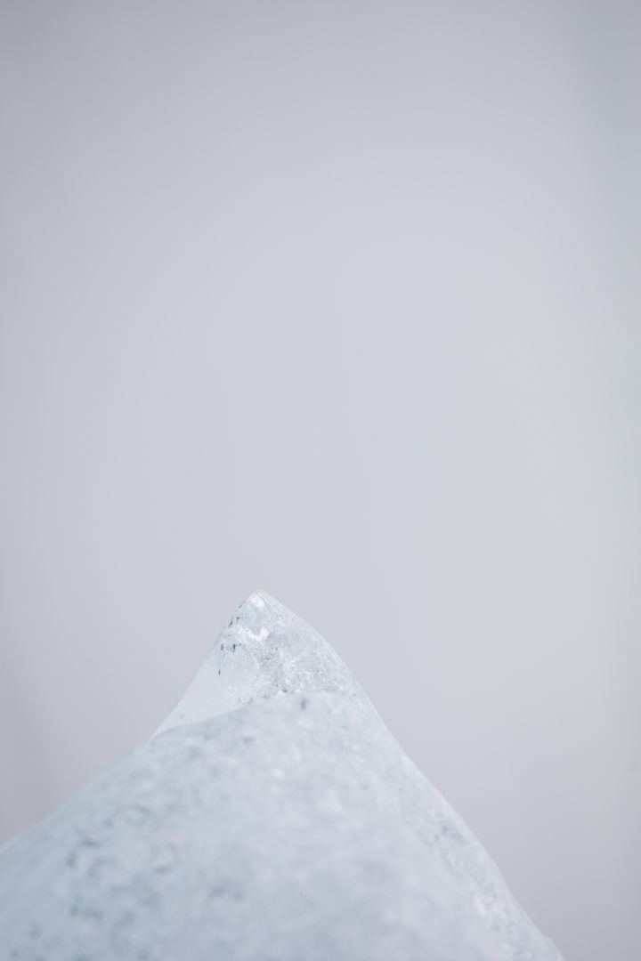 Rinko KAWAUCHI (*1972, Japan): Untitled, from the series 'M/E' – Christophe Guye Galerie