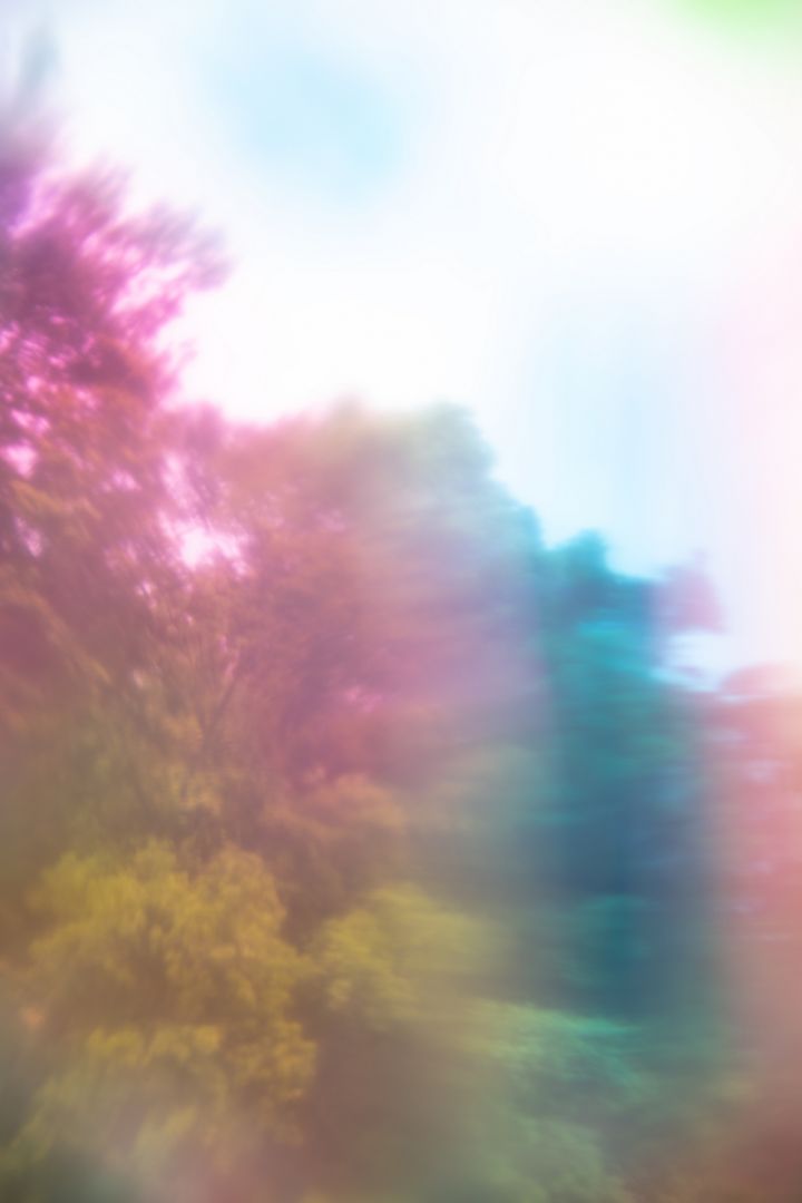 Rinko KAWAUCHI (*1972, Japan): Untitled, from the series 'M/E' – Christophe Guye Galerie