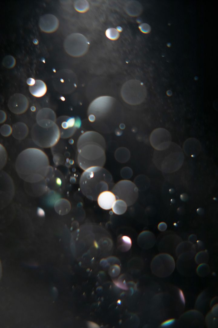 Rinko KAWAUCHI (*1972, Japan): Untitled, from the series 'M/E' – Christophe Guye Galerie