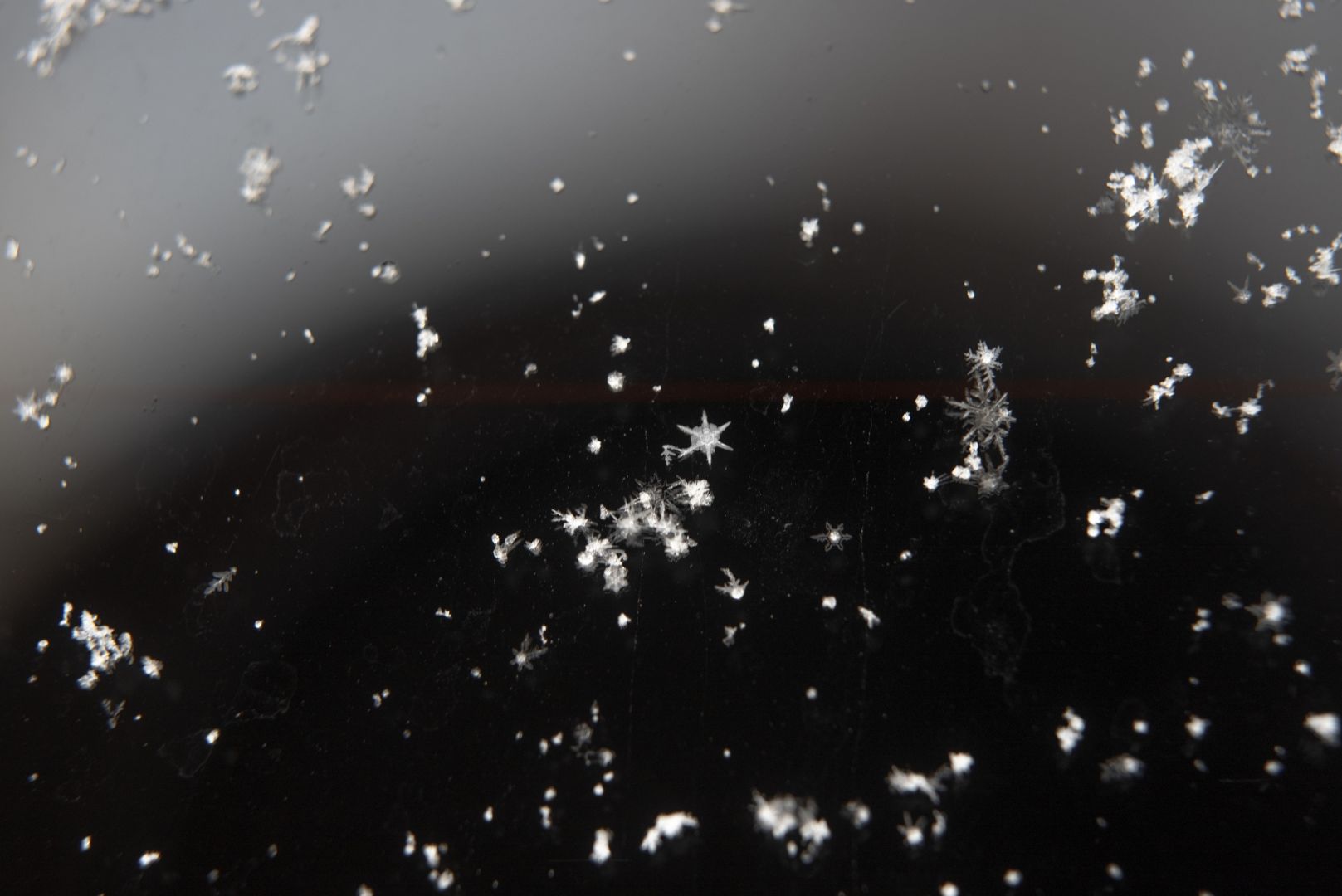 Rinko KAWAUCHI (*1972, Japan): Untitled, from the series 'M/E' – Christophe Guye Galerie