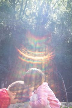 Rinko KAWAUCHI (*1972, Japan): Untitled, from the series 'M/E' – Christophe Guye Galerie