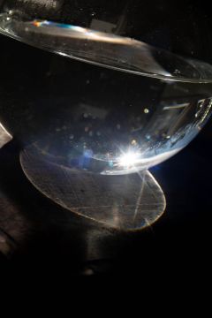 Rinko KAWAUCHI (*1972, Japan): Untitled, from the series 'M/E' – Christophe Guye Galerie