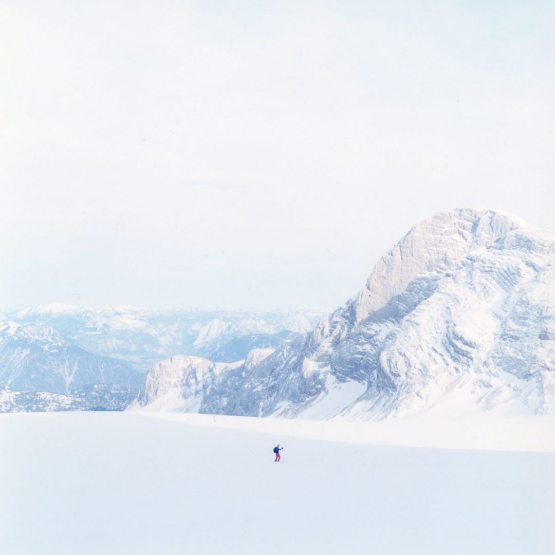 Rinko KAWAUCHI (*1972, Japan): Untitled, from the series 'Search for the sun' – Christophe Guye Galerie
