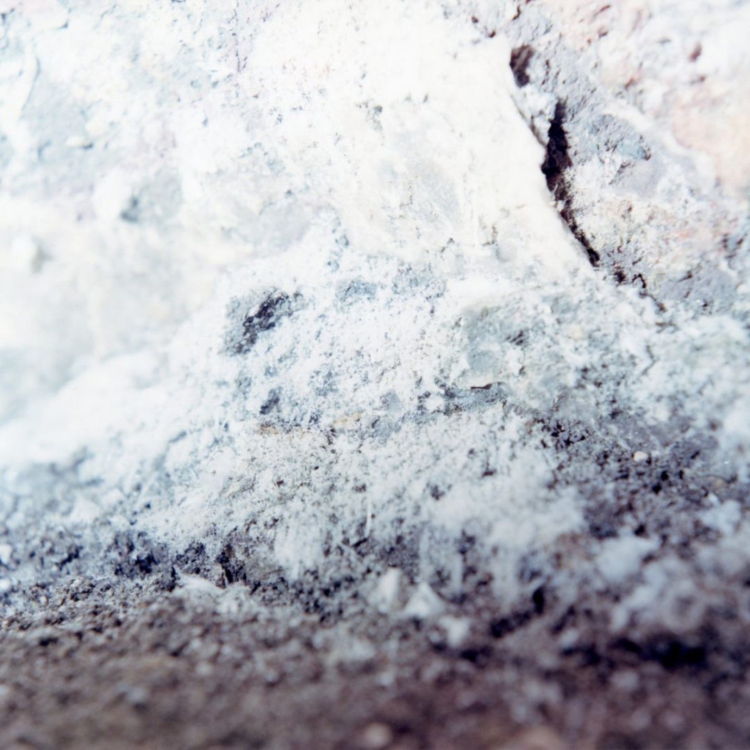 Rinko KAWAUCHI (*1972, Japan): Untitled, from the series 'Search for the sun' – Christophe Guye Galerie