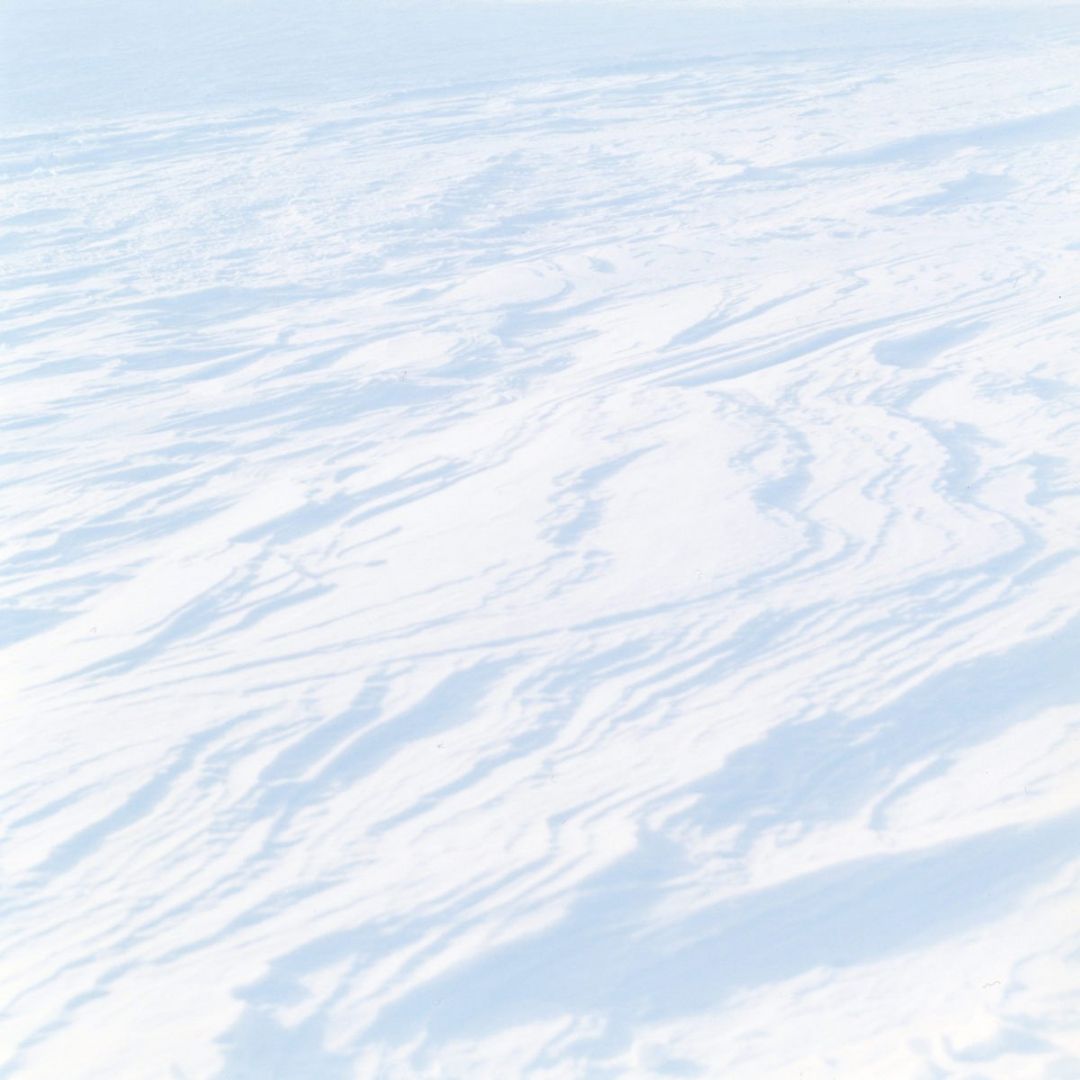 Rinko KAWAUCHI (*1972, Japan): Untitled, from the series 'Search for the sun' – Christophe Guye Galerie
