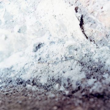 Rinko KAWAUCHI (*1972, Japan): Untitled, from the series 'Search for the sun' – Christophe Guye Galerie