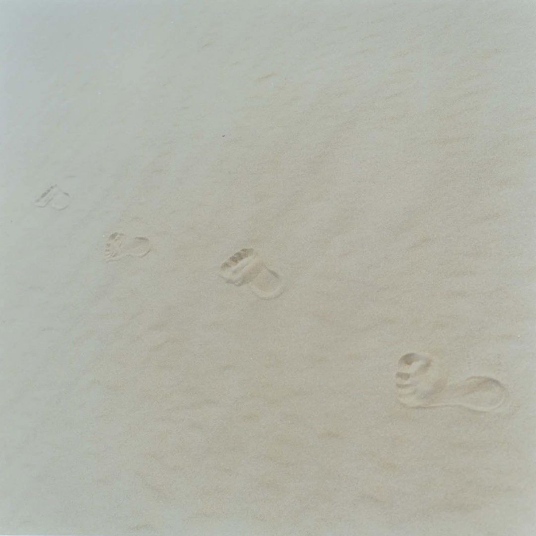 Rinko KAWAUCHI (*1972, Japan): Untitled, from the series ‚Semear‘ – Christophe Guye Galerie