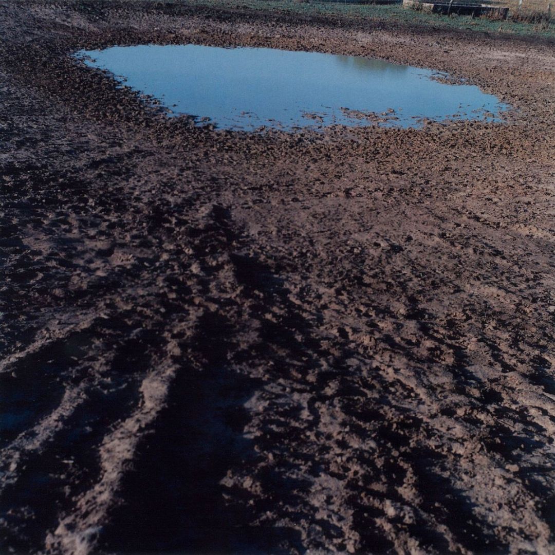 Rinko KAWAUCHI (*1972, Japan): Untitled, from the series ‚Semear‘ – Christophe Guye Galerie