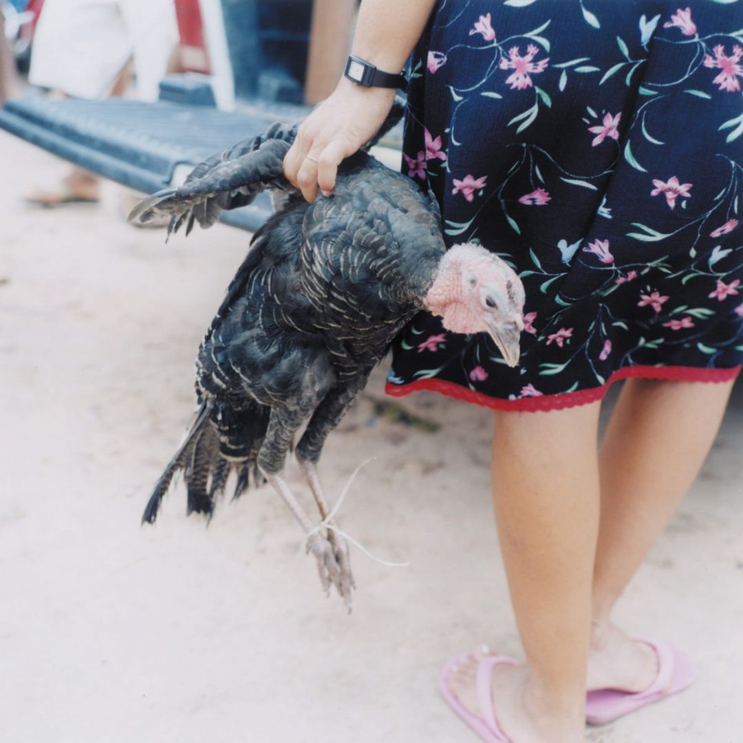 Rinko KAWAUCHI (*1972, Japan): Untitled, from the series ‚Semear‘ – Christophe Guye Galerie