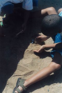 Rinko KAWAUCHI (*1972, Japan): Untitled, from the series ‚Semear‘ – Christophe Guye Galerie