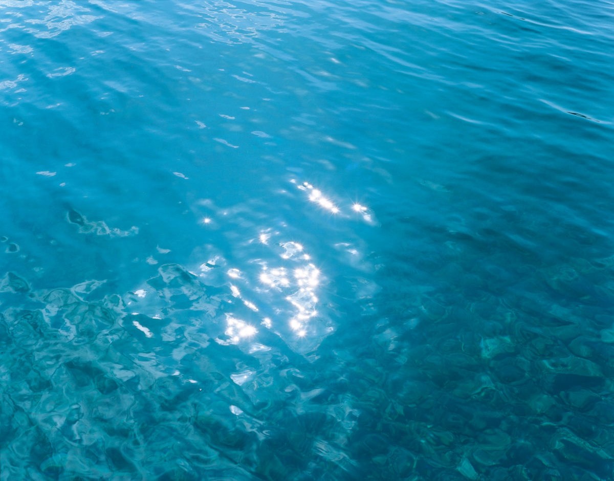 Rinko KAWAUCHI (*1972, Japan): Untitled, from the series 'The river embraced me' – Christophe Guye Galerie
