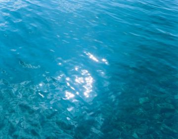 Rinko KAWAUCHI (*1972, Japan): Untitled, from the series 'The river embraced me' – Christophe Guye Galerie