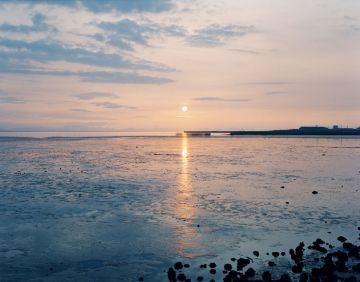 Rinko KAWAUCHI (*1972, Japan): Untitled, from the series 'The river embraced me' – Christophe Guye Galerie