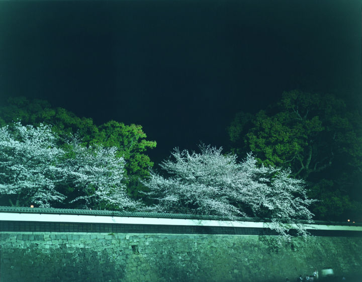 アート・デザイン・音楽 Rinko Kawauchi The river embraced me Christophe-Guye-Galerie-Rinko-