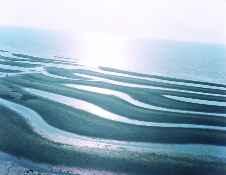 アート・デザイン・音楽 Rinko Kawauchi The river embraced me Rinko Kawauchi | The river embraced me
