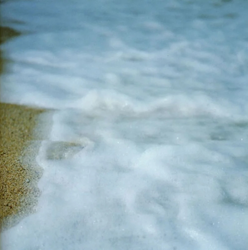 Rinko KAWAUCHI (*1972, Japan): Untitled, from the series 'Utatane' – Christophe Guye Galerie