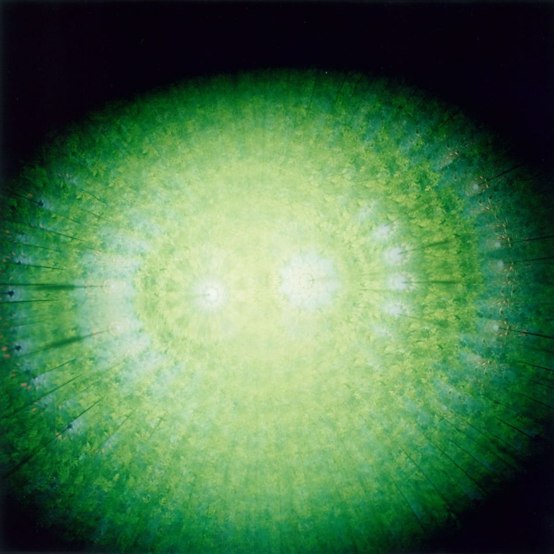 Rinko KAWAUCHI (*1972, Japan): Untitled, from the series 'the eyes, the ears,' – Christophe Guye Galerie