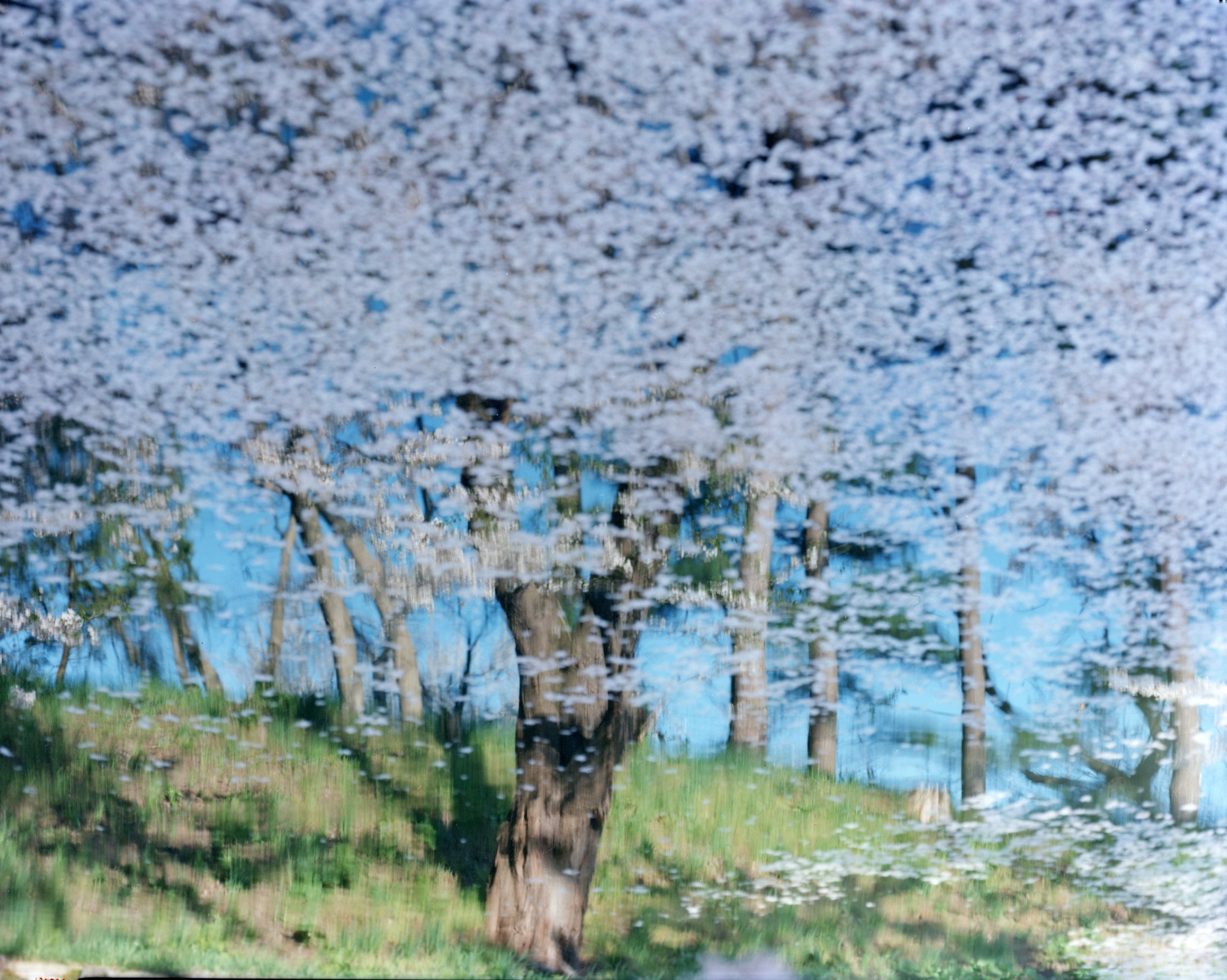 Christophe-Guye-Galerie-Risaku