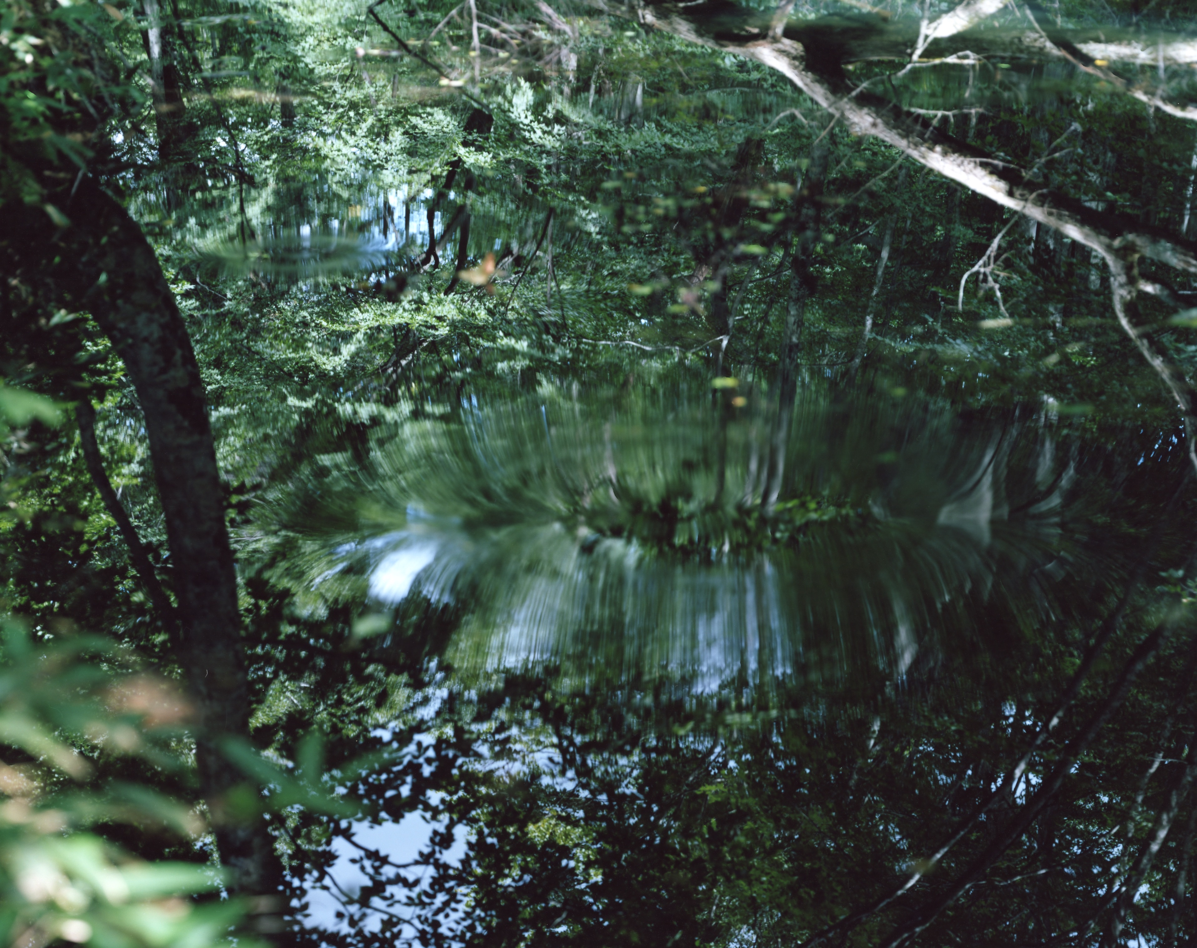 鈴木理策 | Risaku Suzuki: Water Mirror