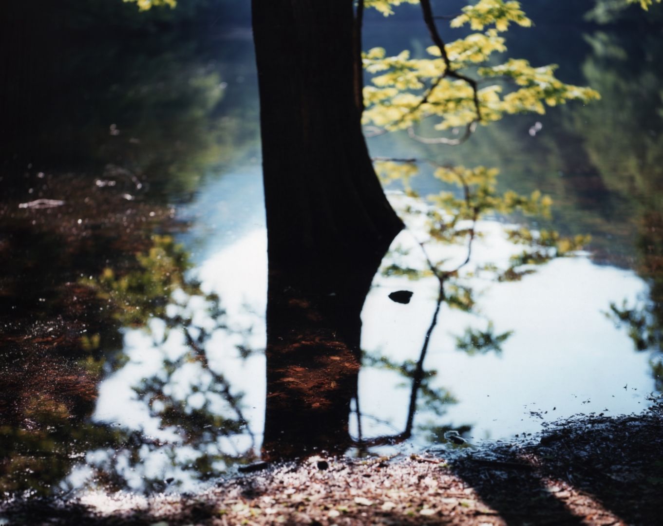 Risaku SUZUKI (*1963, Japan): Water Mirror 15, WM-193 – Christophe Guye Galerie