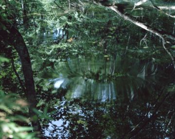 Risaku SUZUKI (*1963, Japan): Water Mirror 14, WM-61 – Christophe Guye Galerie