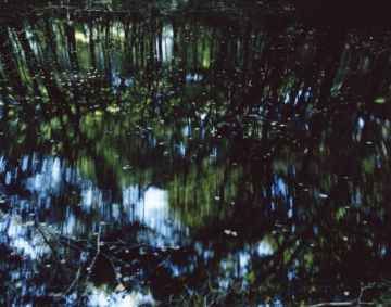 Risaku SUZUKI (*1963, Japan): Water Mirror 14, WM-75 – Christophe Guye Galerie