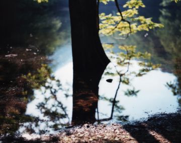 Risaku SUZUKI (*1963, Japan): Water Mirror 15, WM-193 – Christophe Guye Galerie