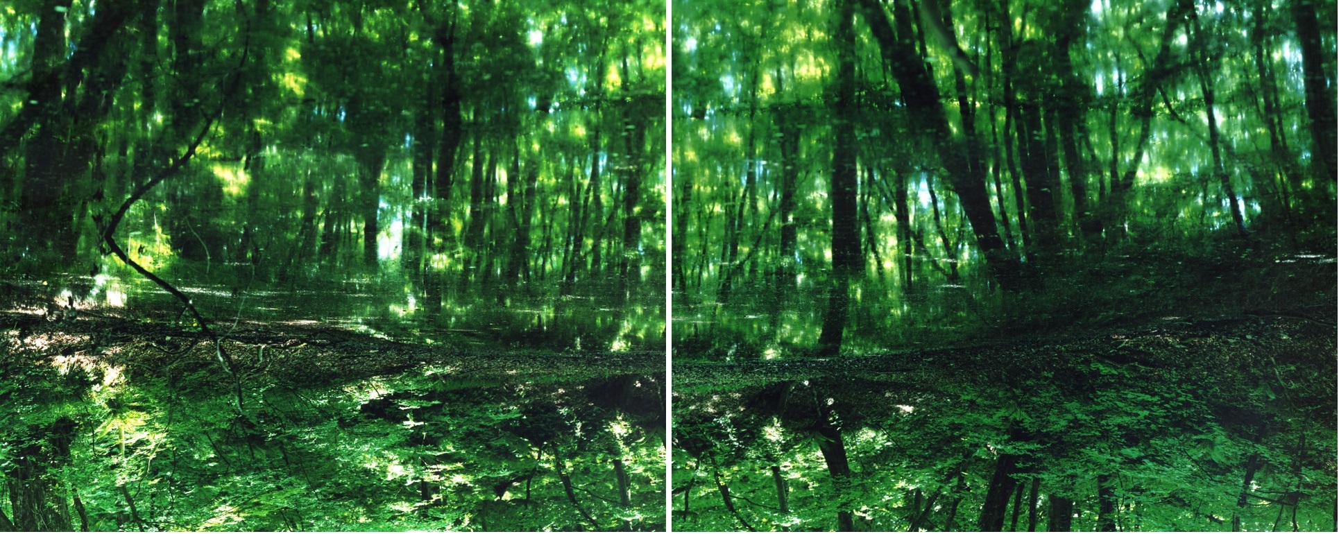 Risaku Suzuki - Gallery | Galerie Christophe Guye
