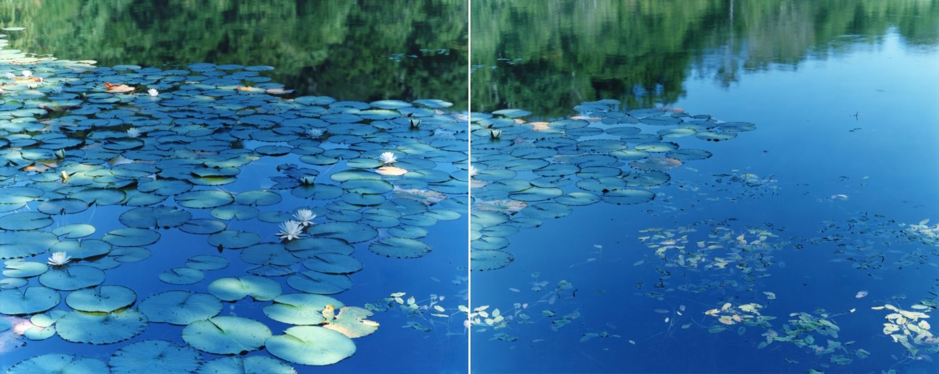 Risaku SUZUKI (*1963, Japan): Water Mirror 16, WM-634, 636 – Christophe Guye Galerie