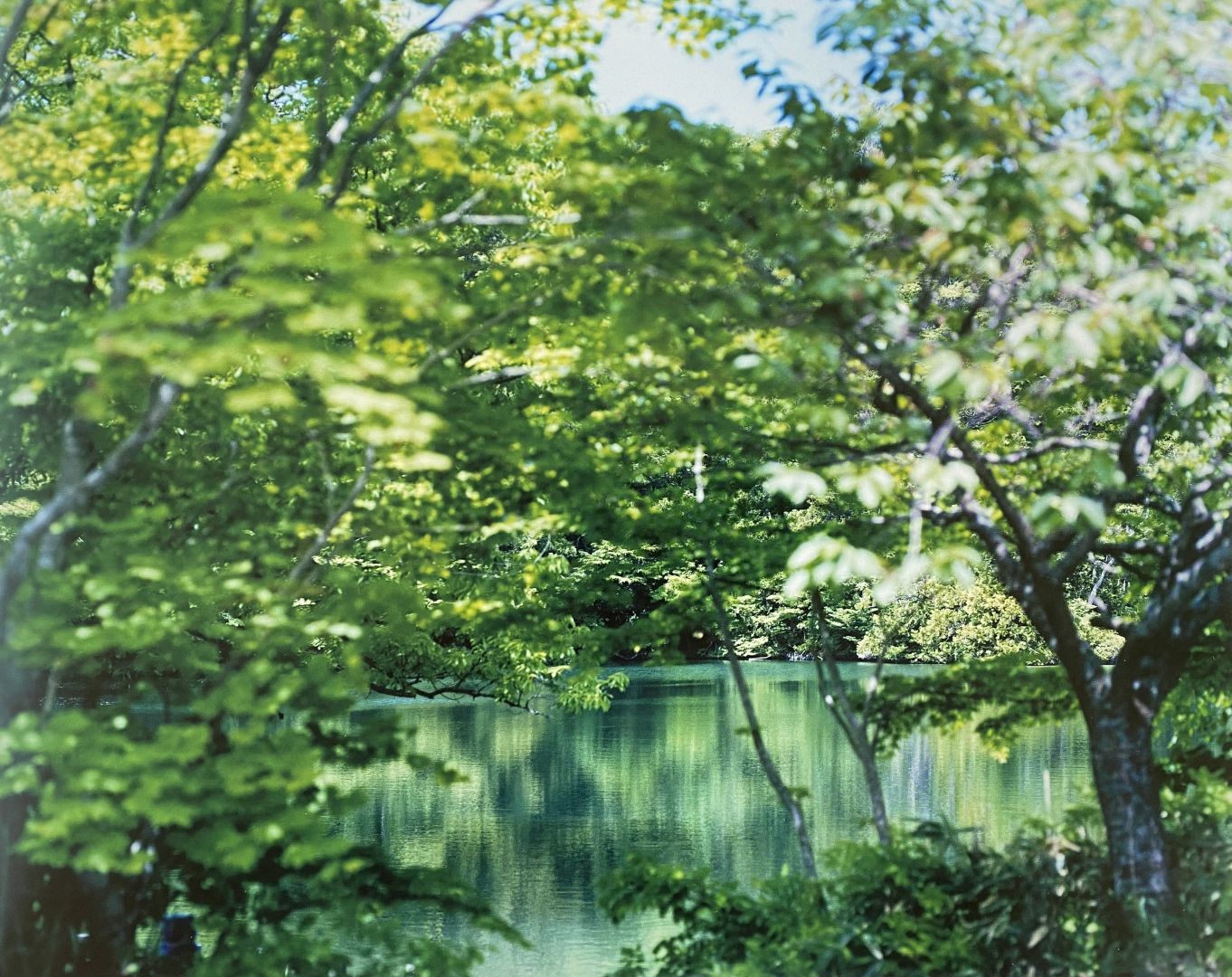 Risaku SUZUKI (*1963, Japan): Water Mirror 17, WM-769 – Christophe Guye Galerie