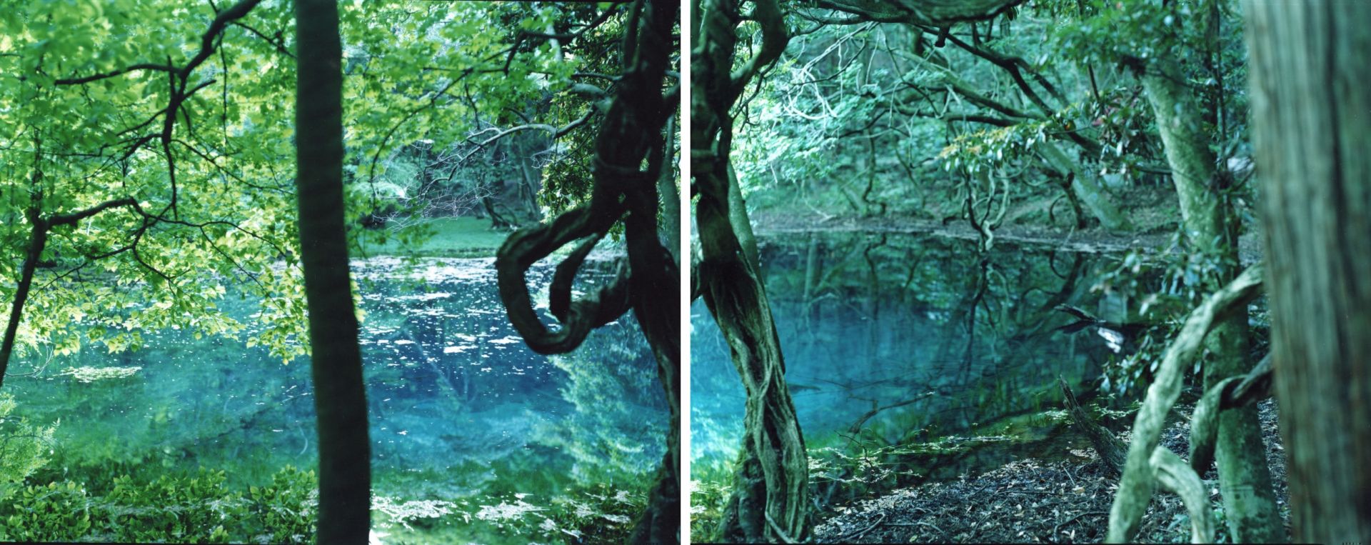 Risaku SUZUKI (*1963, Japan): Water Mirror 18, WM-849, 850 – Christophe Guye Galerie