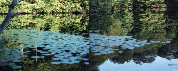 Risaku SUZUKI (*1963, Japan): Water Mirror 15, WM-272, 270 – Christophe Guye Galerie