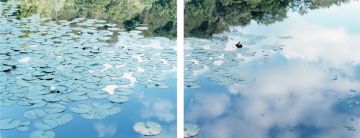 Risaku SUZUKI (*1963, Japan): Water Mirror 14,WM-77 / Water Mirror 14,WM-79 – Christophe Guye Galerie