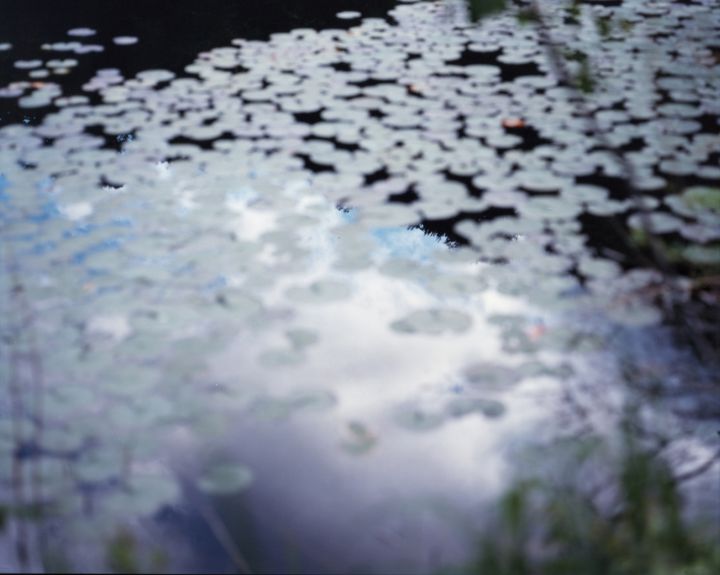 Risaku Suzuki - Gallery | Galerie Christophe Guye