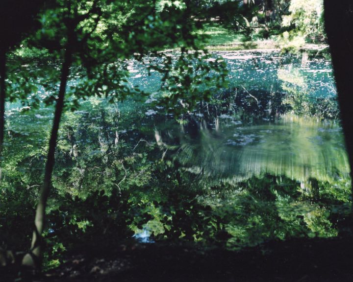 Water Mirror 鈴木　理策 / Risaku Suzuki pic1.jpg