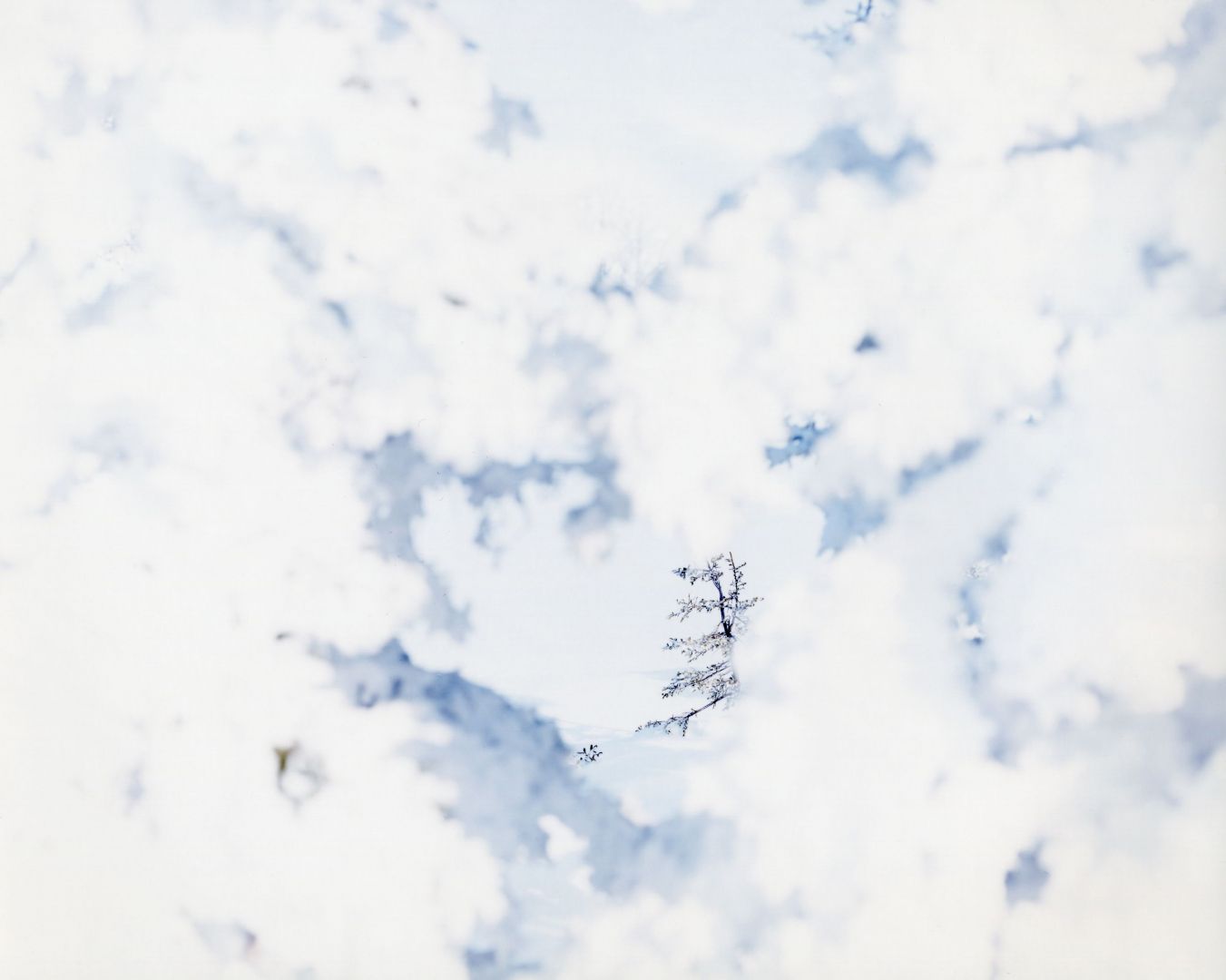 Risaku SUZUKI (*1963, Japan): WHITE 09,H-343 – Christophe Guye Galerie
