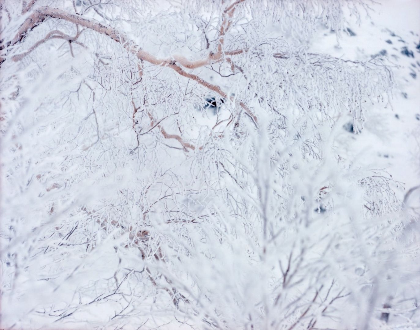 Risaku SUZUKI (*1963, Japan): WHITE 11,H-434 – Christophe Guye Galerie