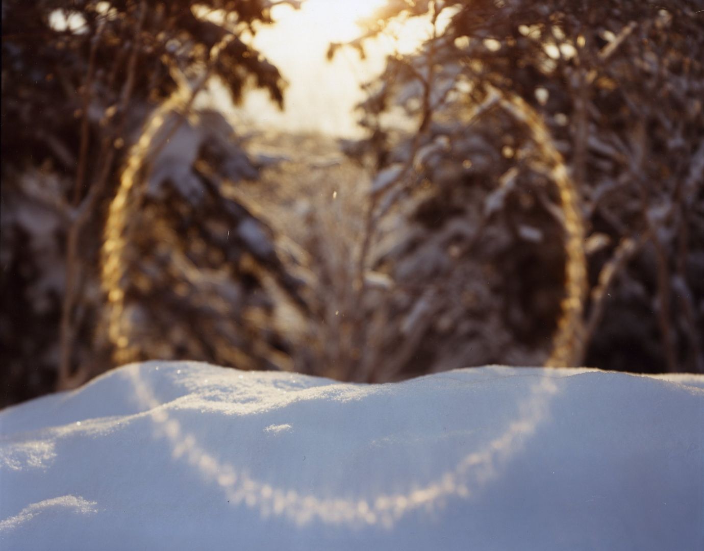 Risaku SUZUKI (*1963, Japan): White 12, H-511 – Christophe Guye Galerie